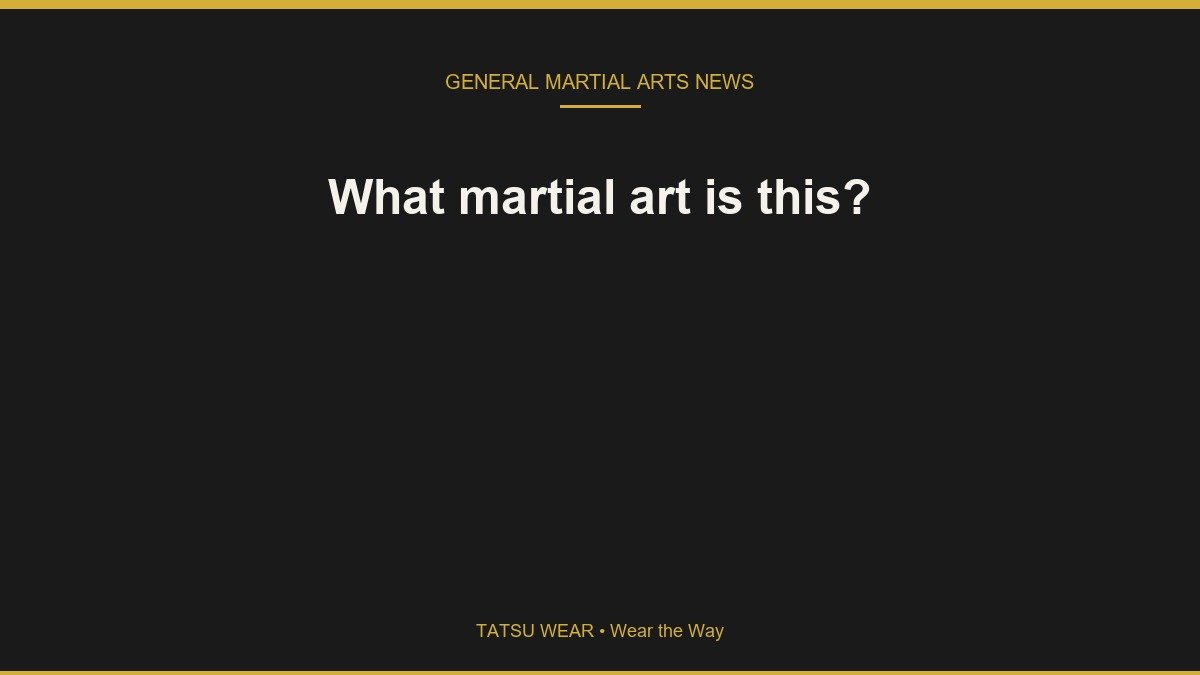 What martial art is this?